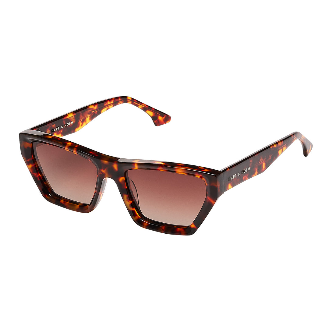 Nardo Brown Turtle Sunglasses - PREMIUM