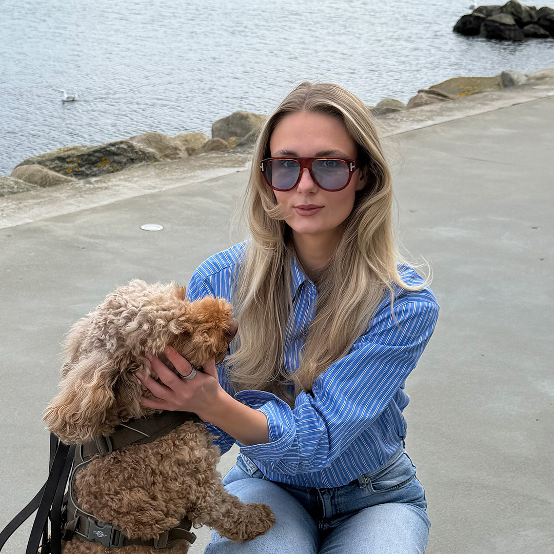 Paolo Pampas Turtle Sunglasses - PREMIUM