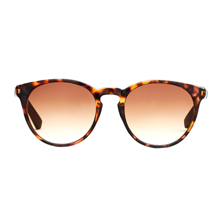 Torino Brown Turtle Solbrille - CLASSIC