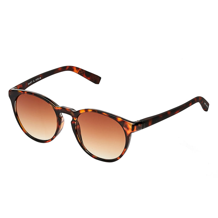 Torino Brown Turtle Solbrille - CLASSIC