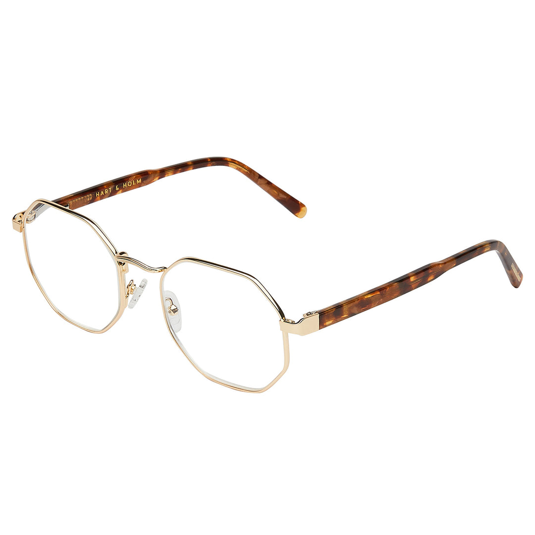 Arezzo Brown Blue Light - PREMIUM | WOMEN